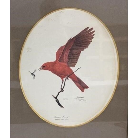 Signed Ray Harm “Summer Tanager” Lithograph – Vintage Framed Wildlife Art - 1963 - Picture 2 of 9